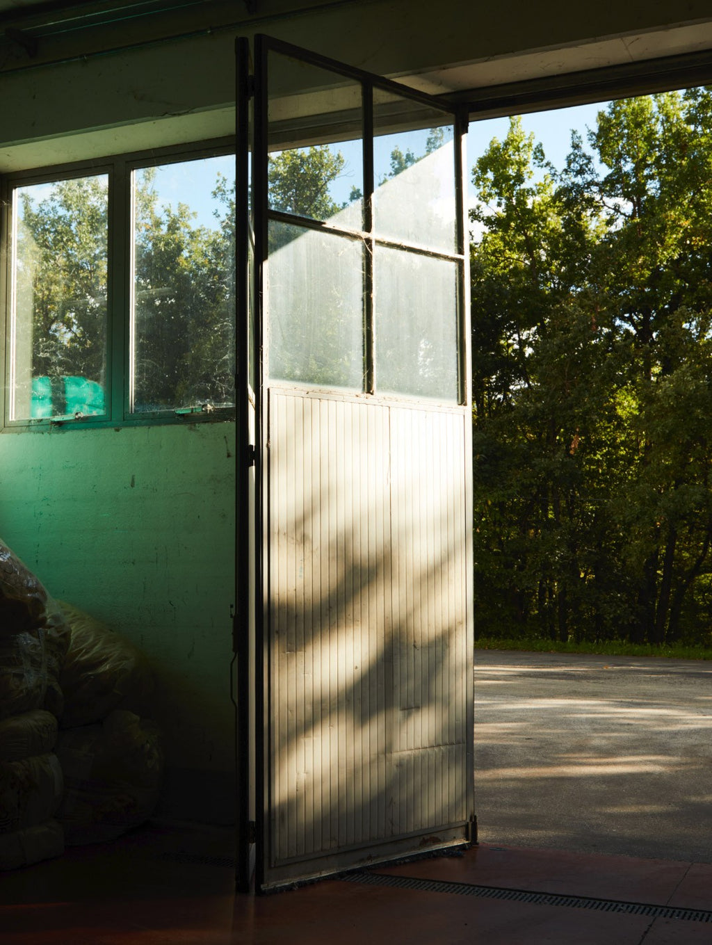 Open door leading to a forest, sunlight casting shadows inside a room.