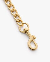 Chain with a hook clasp lying flat
