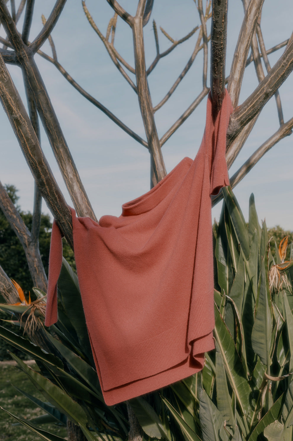 Sweater hanging on a large branch outdoors