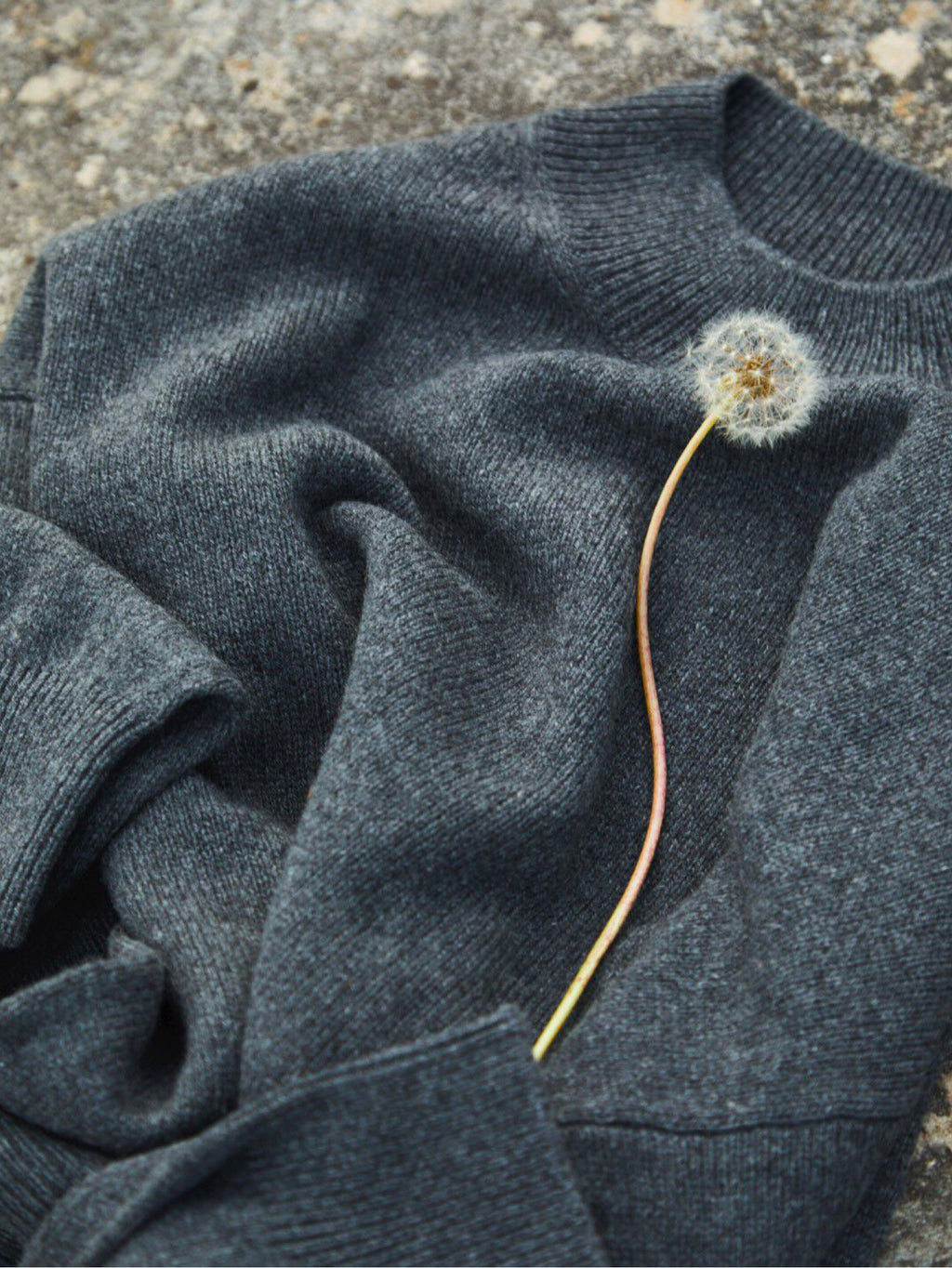 Dandelion on a folded sweater